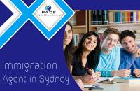 Pace Migration & Education Consultancy image 3